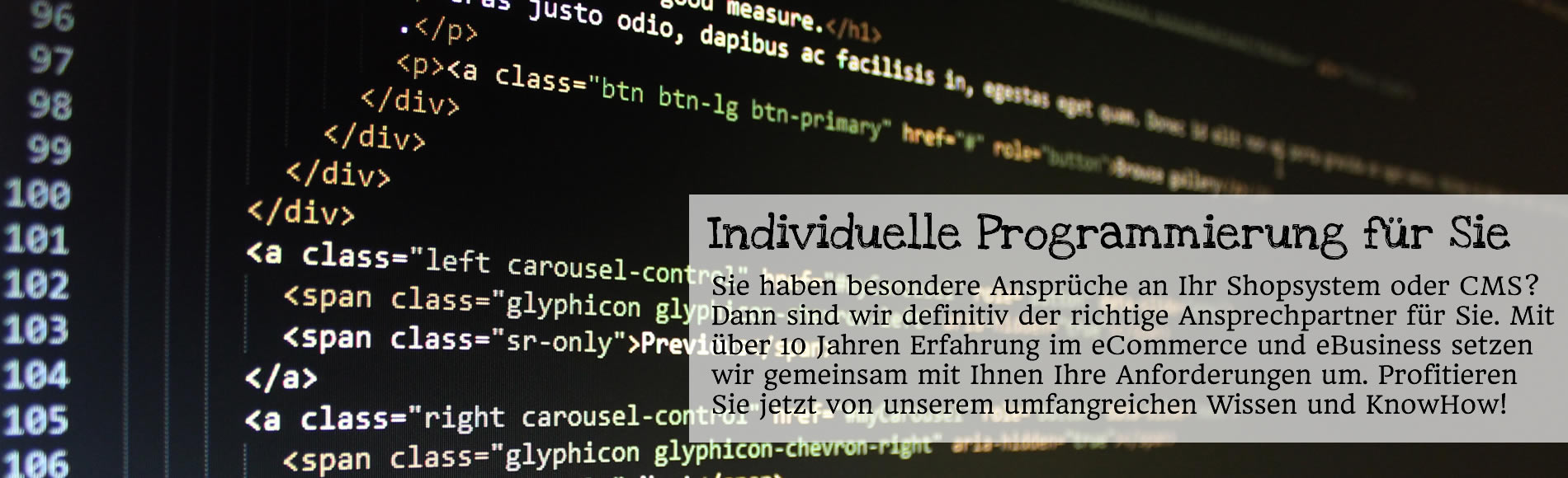 Individuelle Programmierung von Modulen, Plugins und Funktionserweiterungen für ihr Shopsystem oder Content Management System bei MerZ IT-SerVice